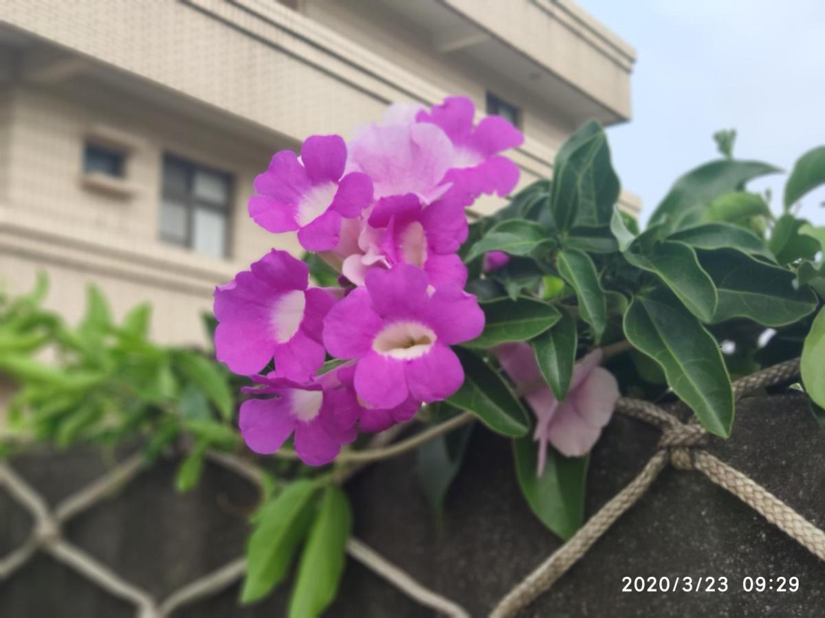 嘉義泊岸居民宿 Lucao Exterior photo